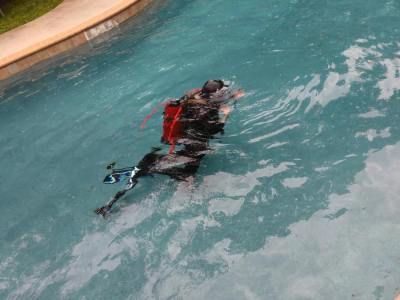 IMG_20200602_122920038