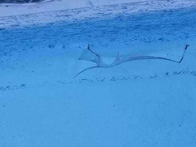 Swimming-Pool-Hole-Repair