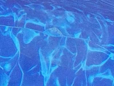 Swimming-Pool-Seam-Repair